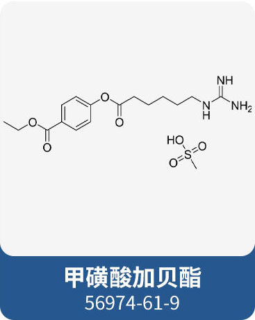 甲磺酸加贝酯